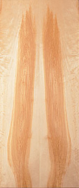 Rotary Cut Natural Birch